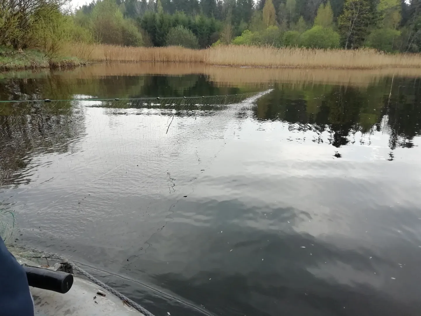 Pildil nakkevõrk, mis oli üle jõe tõmmatud.