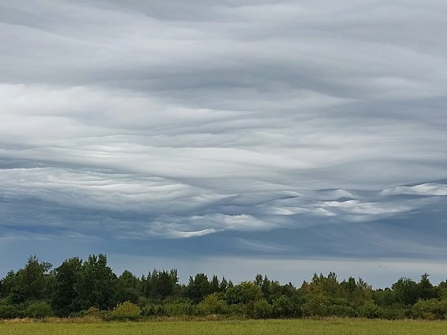 Asperitas pilved Muhus, Nõmmkülas