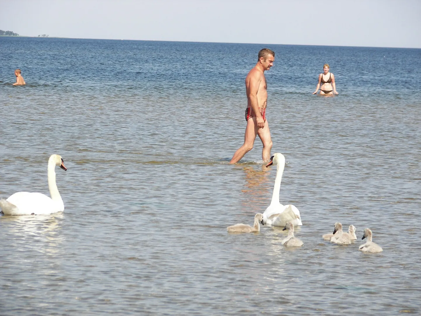 Luigepere Võsu rannas.