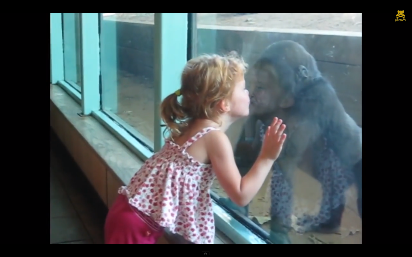 Väike tüdruk teeb gorillale musi.