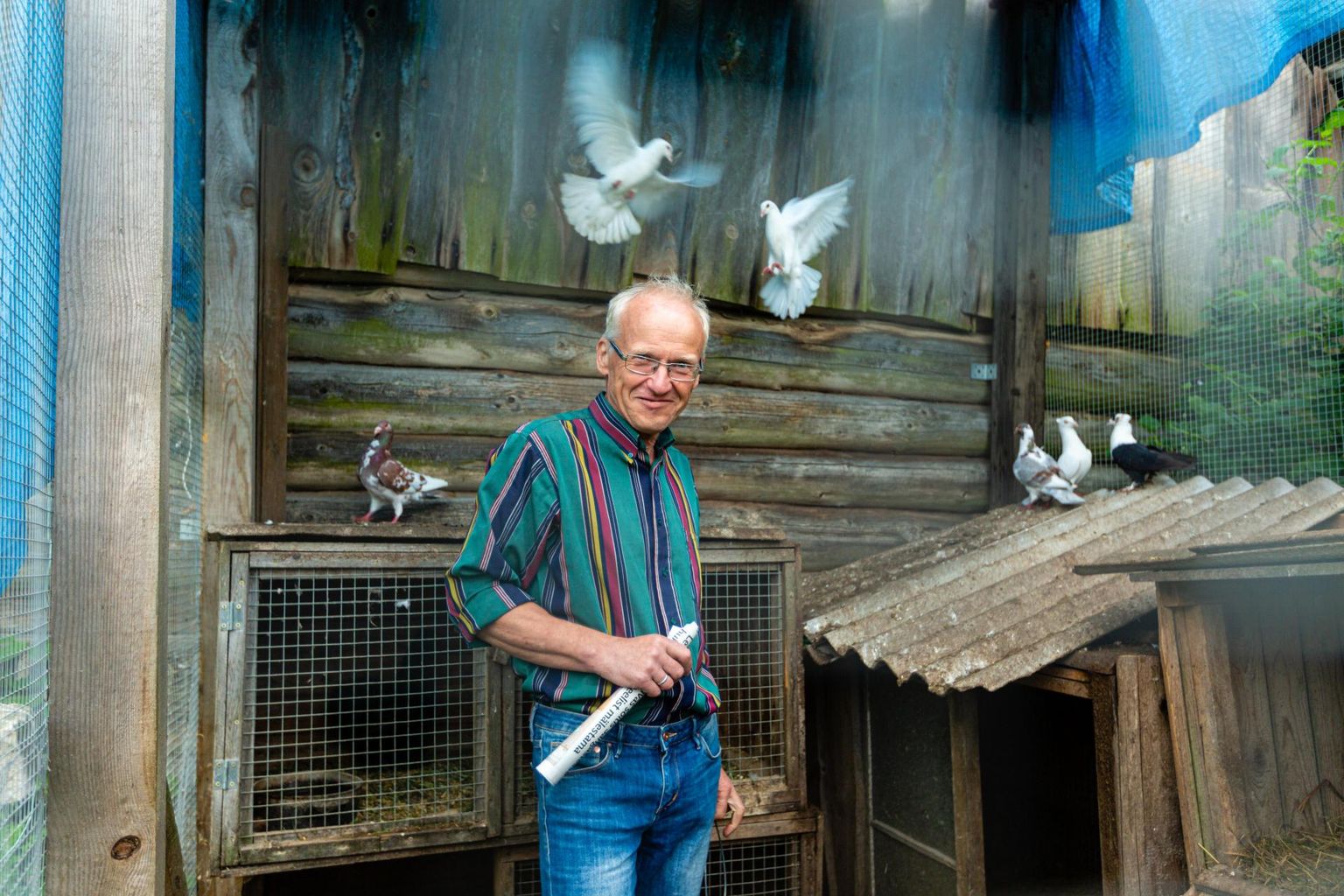 Linnupuuris askeldav Jaan Prangel ütleb, et tegelikult toimetab talus hommikust õhtuni loomade ja lindudega tema naine. Talu ühed vaatamisväärsused on ka tuvid.