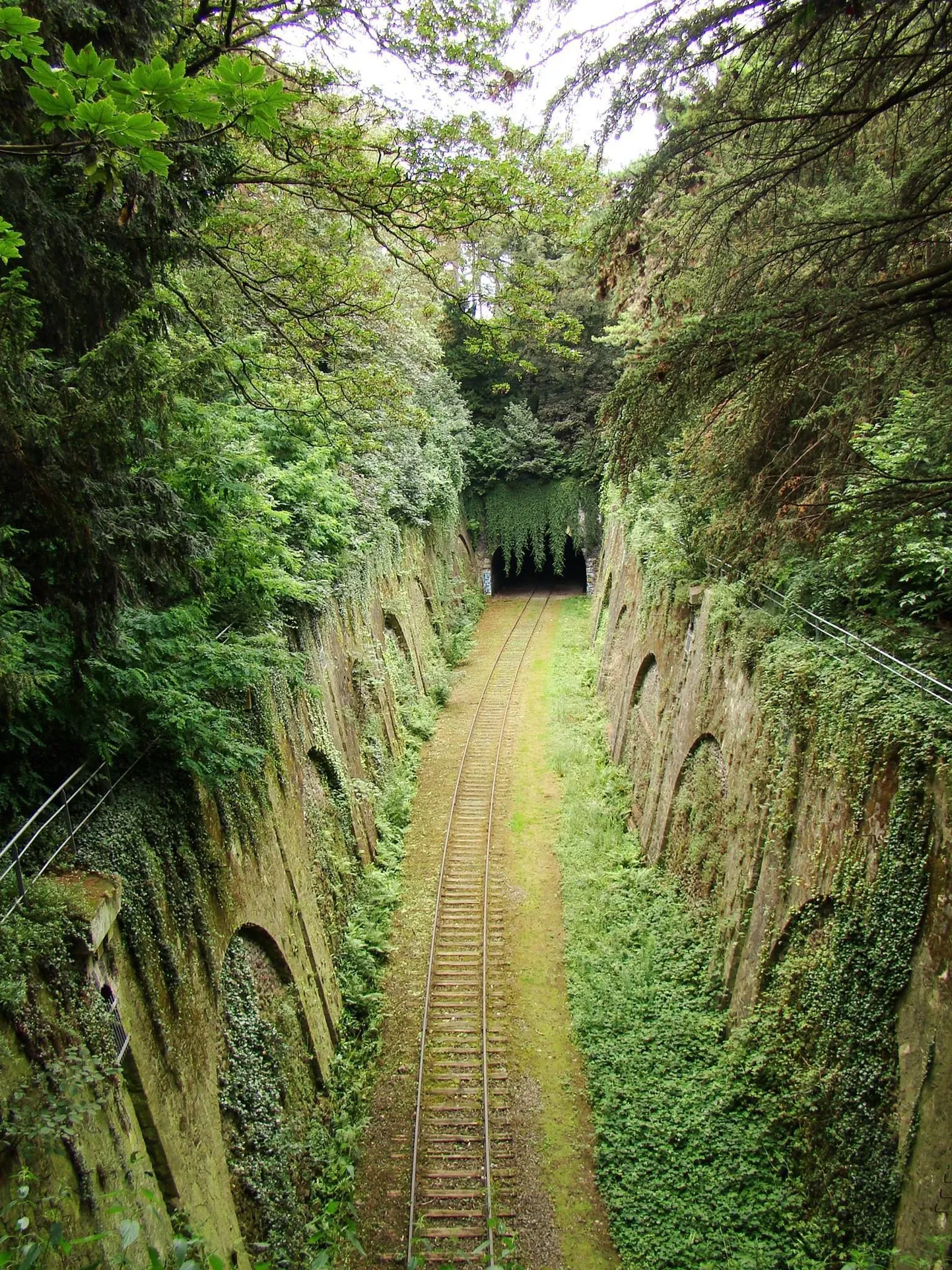 La Petite Ceinture lookleb oma roheluses ka läbi 14. linnaosa