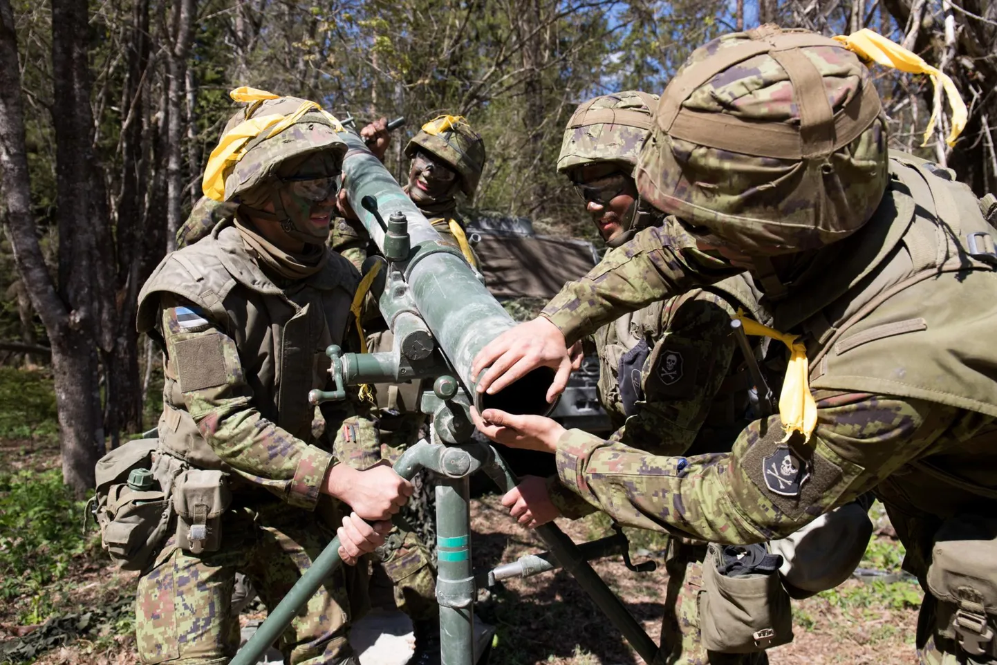 Kui tavapäraselt osaleb Kevadtormil umbes 10 000 NATO ja partnermaade kaitseväelast, siis mullu oli osalejate arv vaid 3200.