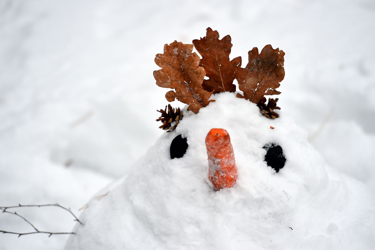 Зимние радости в Межапарке. Снеговик