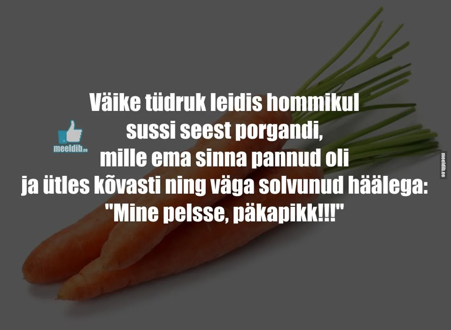 Artikli foto