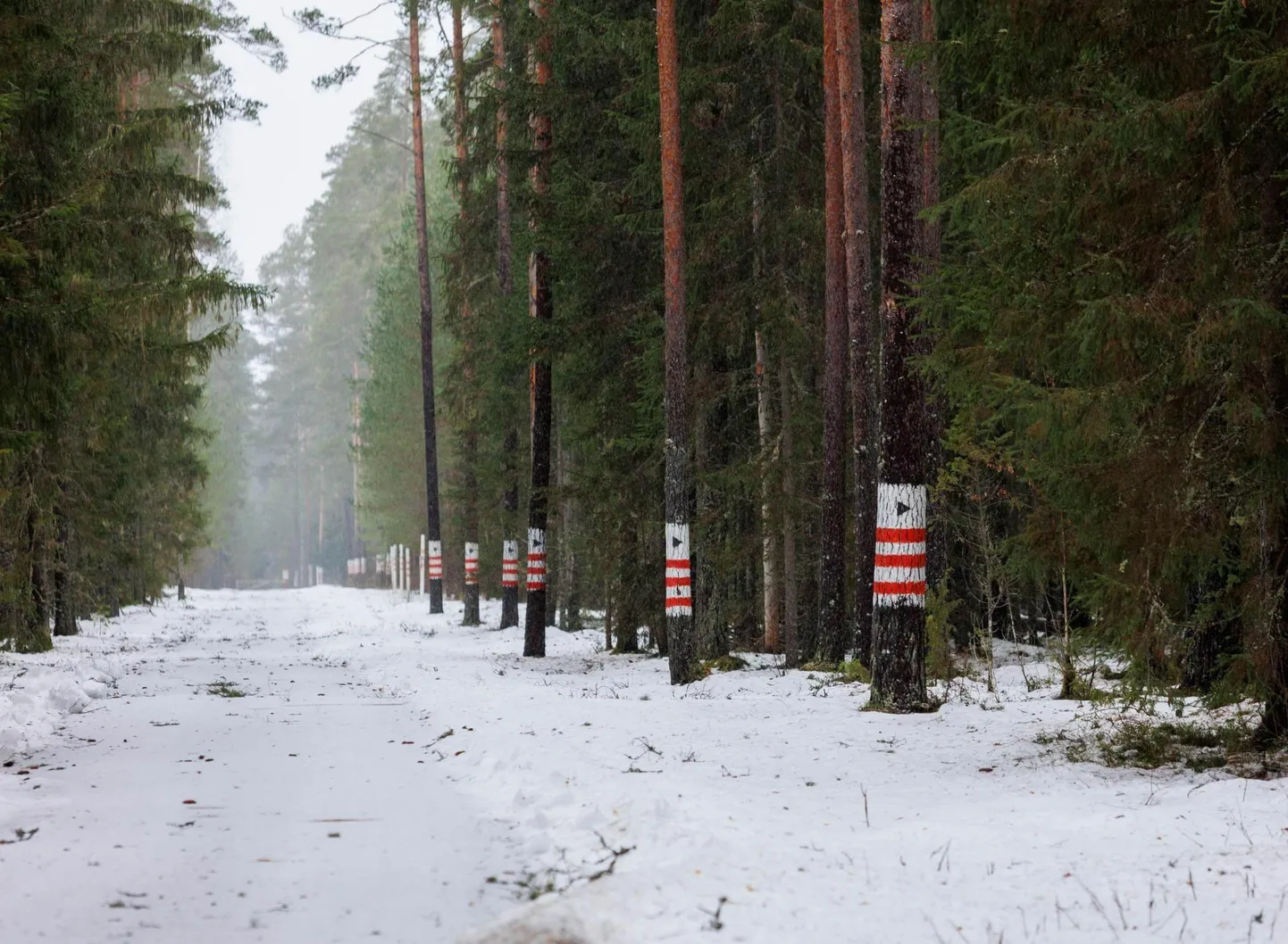 Nursipalu harjutusvälja ohuala piir
