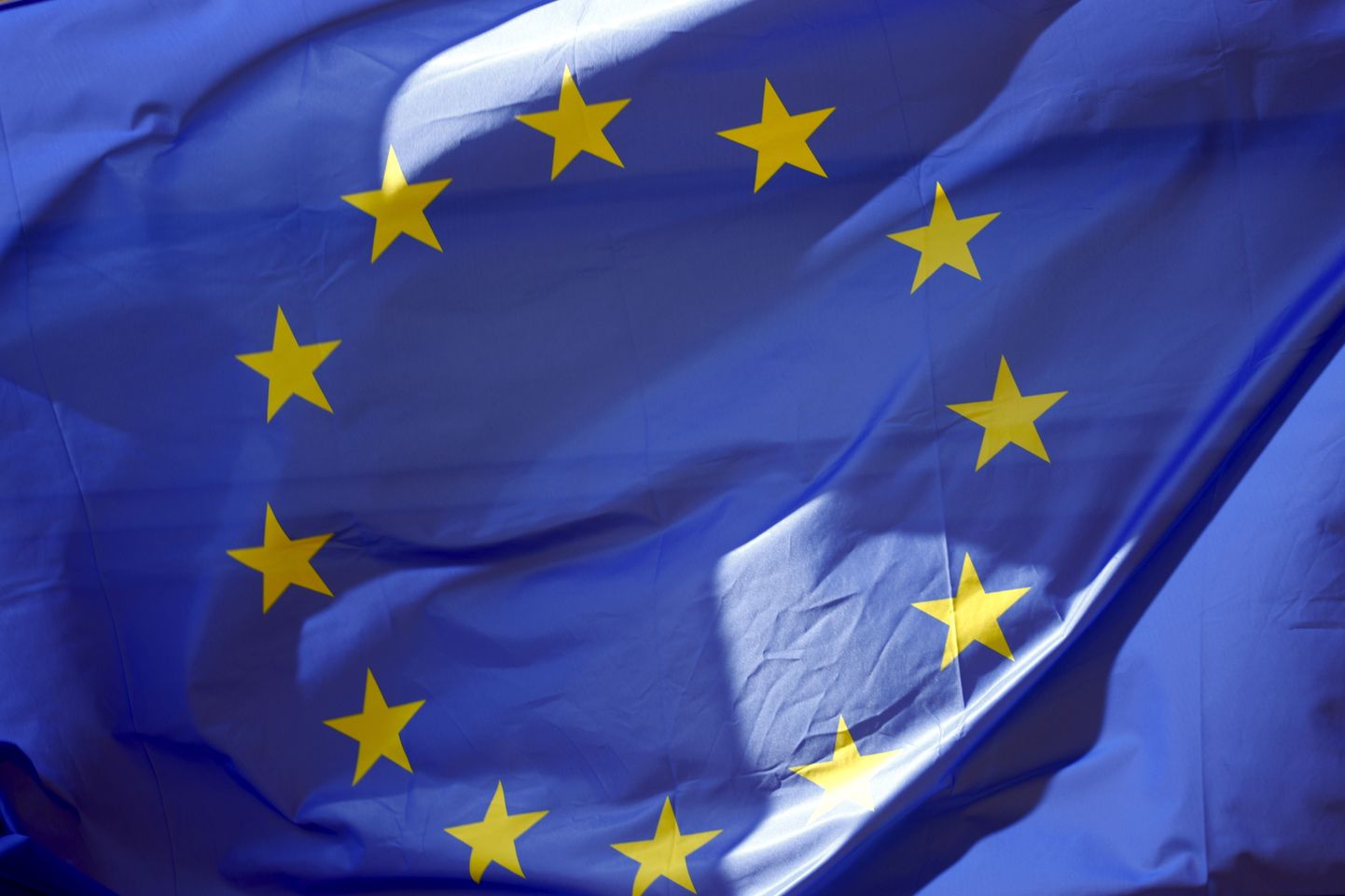 Euroopa Liidu lipp