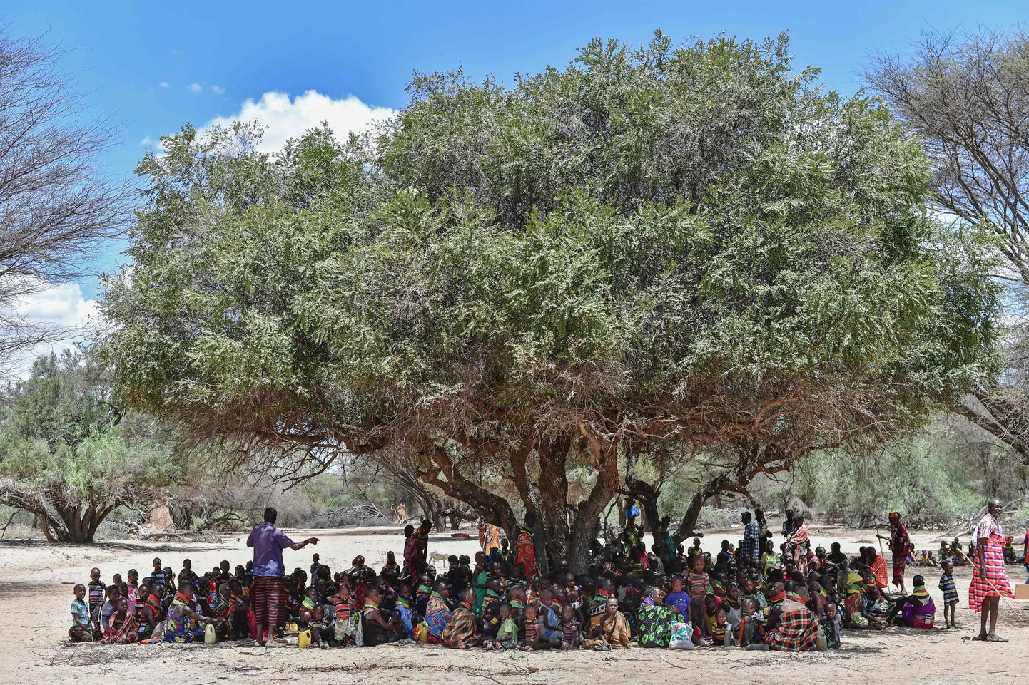 Keenia Turkana maakonna naised ja lapsed otsivad kuuma ilma eest varju puu all ning ootavad UNICEFi ja Keenia Punase Risti arstiabi