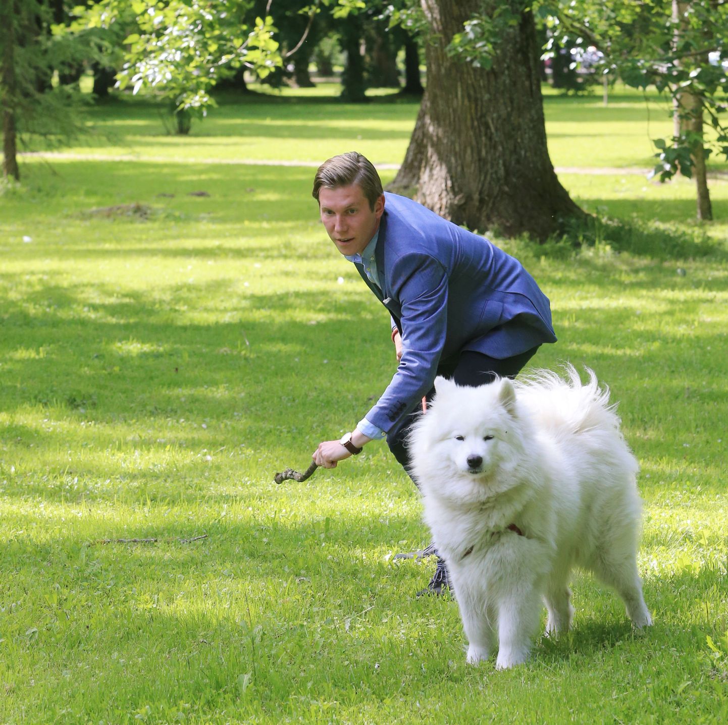 MTÜ Tartu Koertepargid üks asutajaid Mart Suurkask käis Tartu Postimehe palvel koos oma 2,5-aastase valge samojeedi koera Lunaga peagi valmivat Tähtvere koerteparki uudistamas.