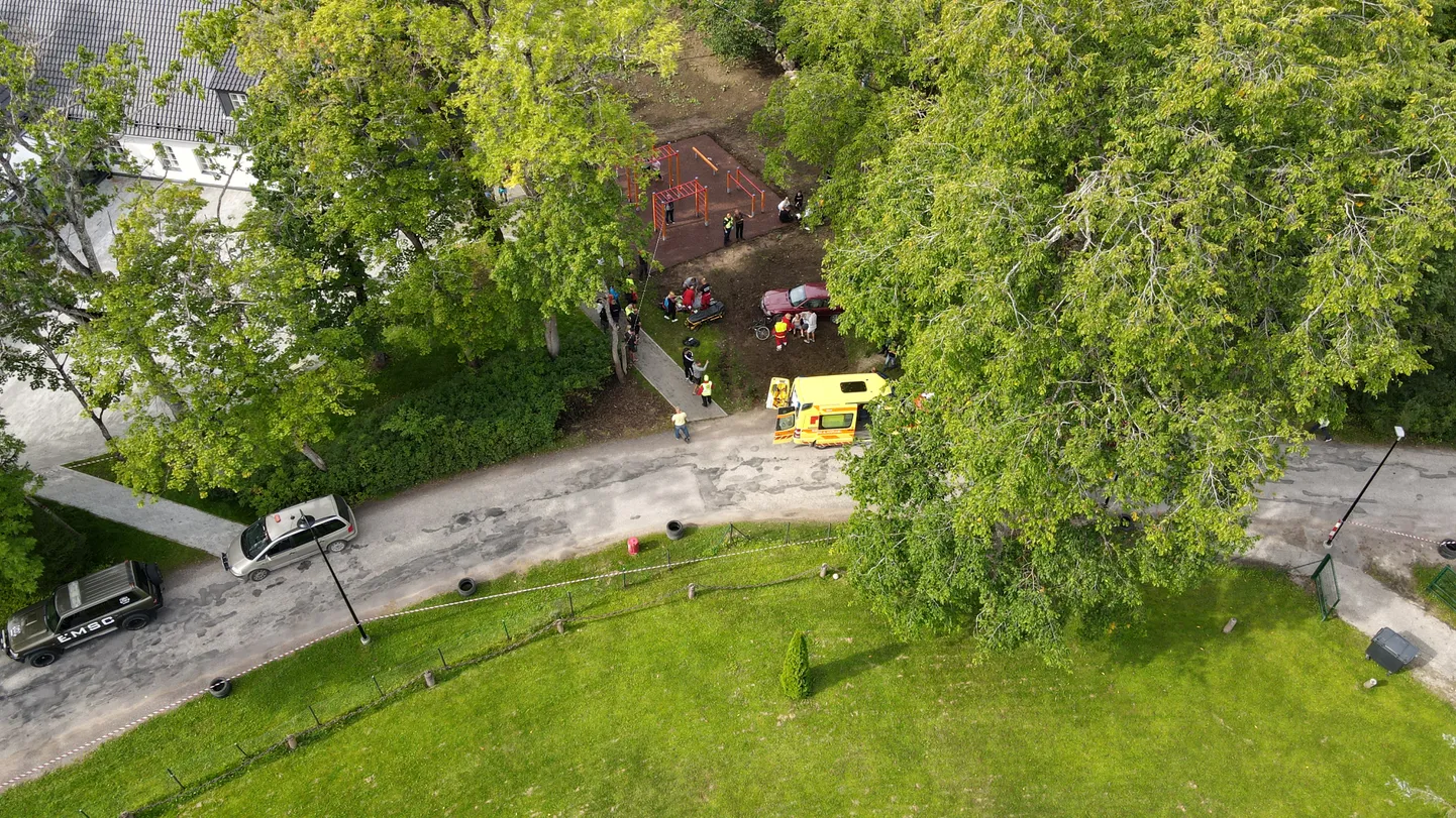 Raksta foto