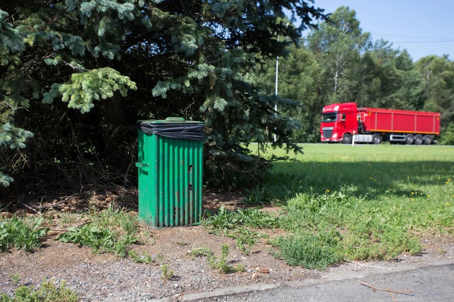 Prügi käib prügikastis.