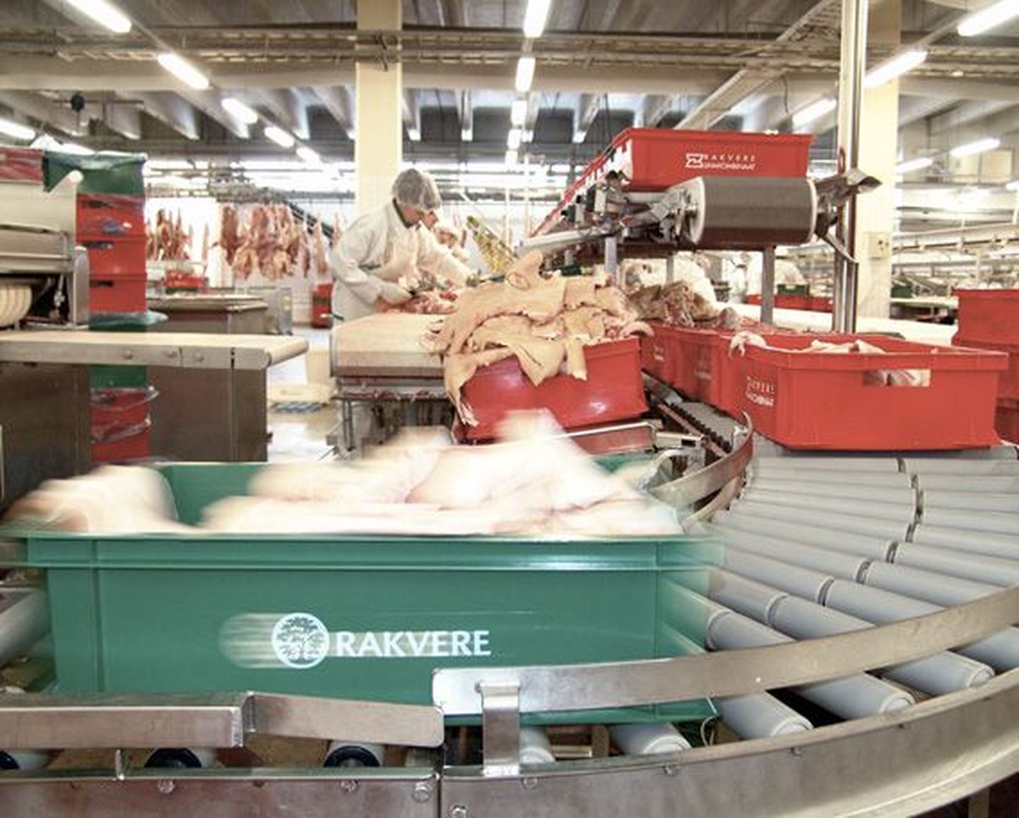 Rakvere lihakombinaat on olnud aastaid Eesti lihatööstuse turuliider ja tugev oma toodangu eksportija ka Lätti ja Leetu.