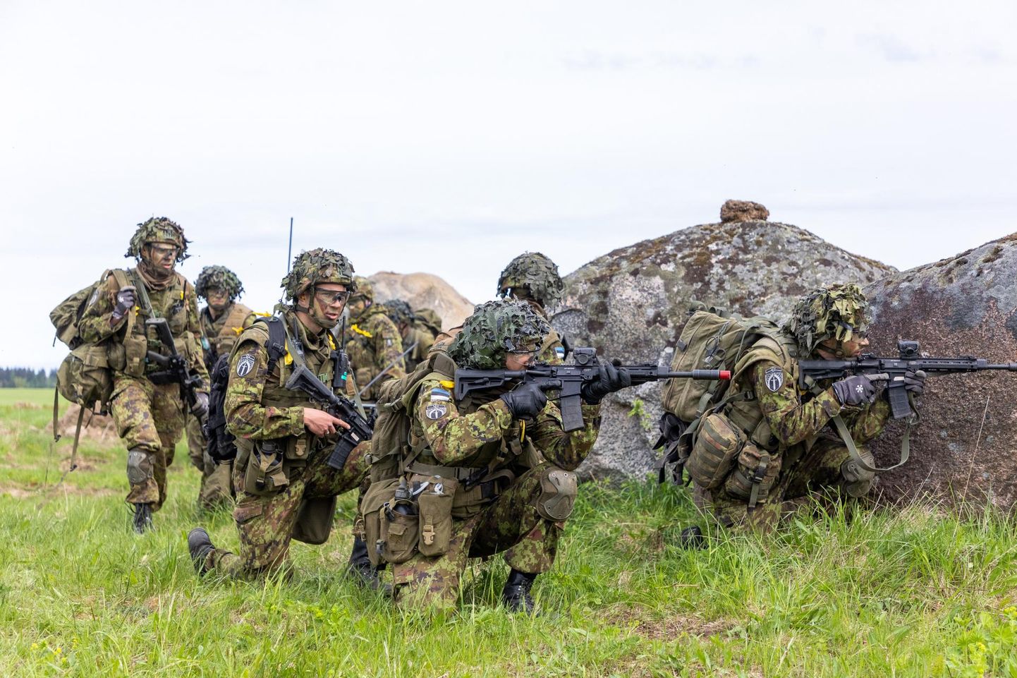 Kevadtorm on Eesti kaitseväe maaväe igaaastane kevadine lahinguõppus.