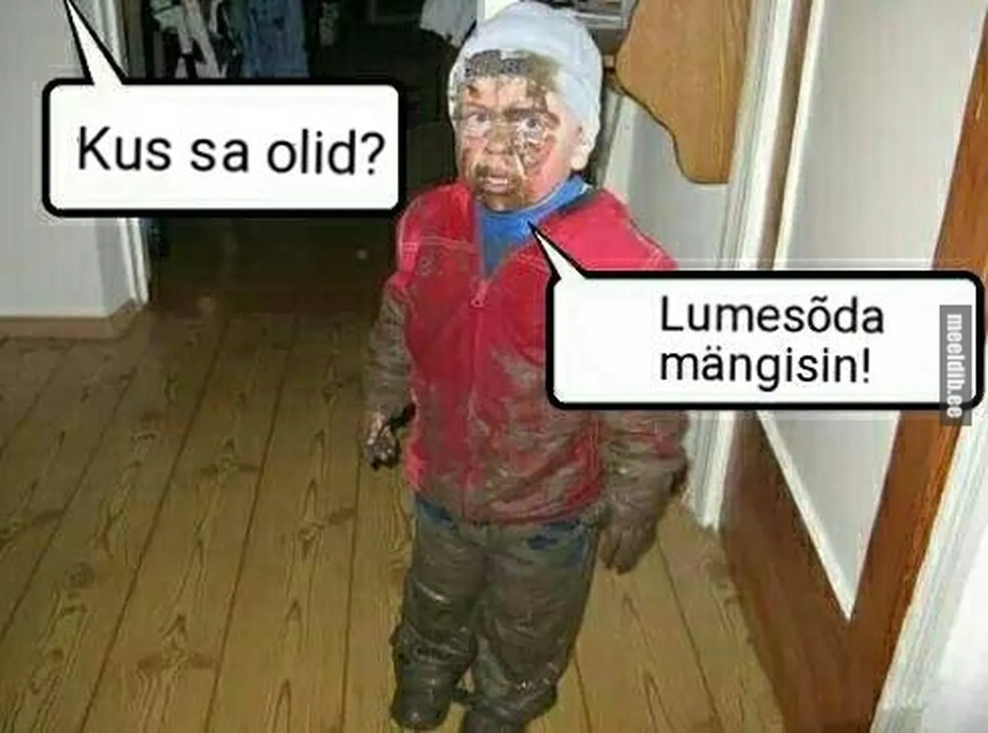 Artikli foto