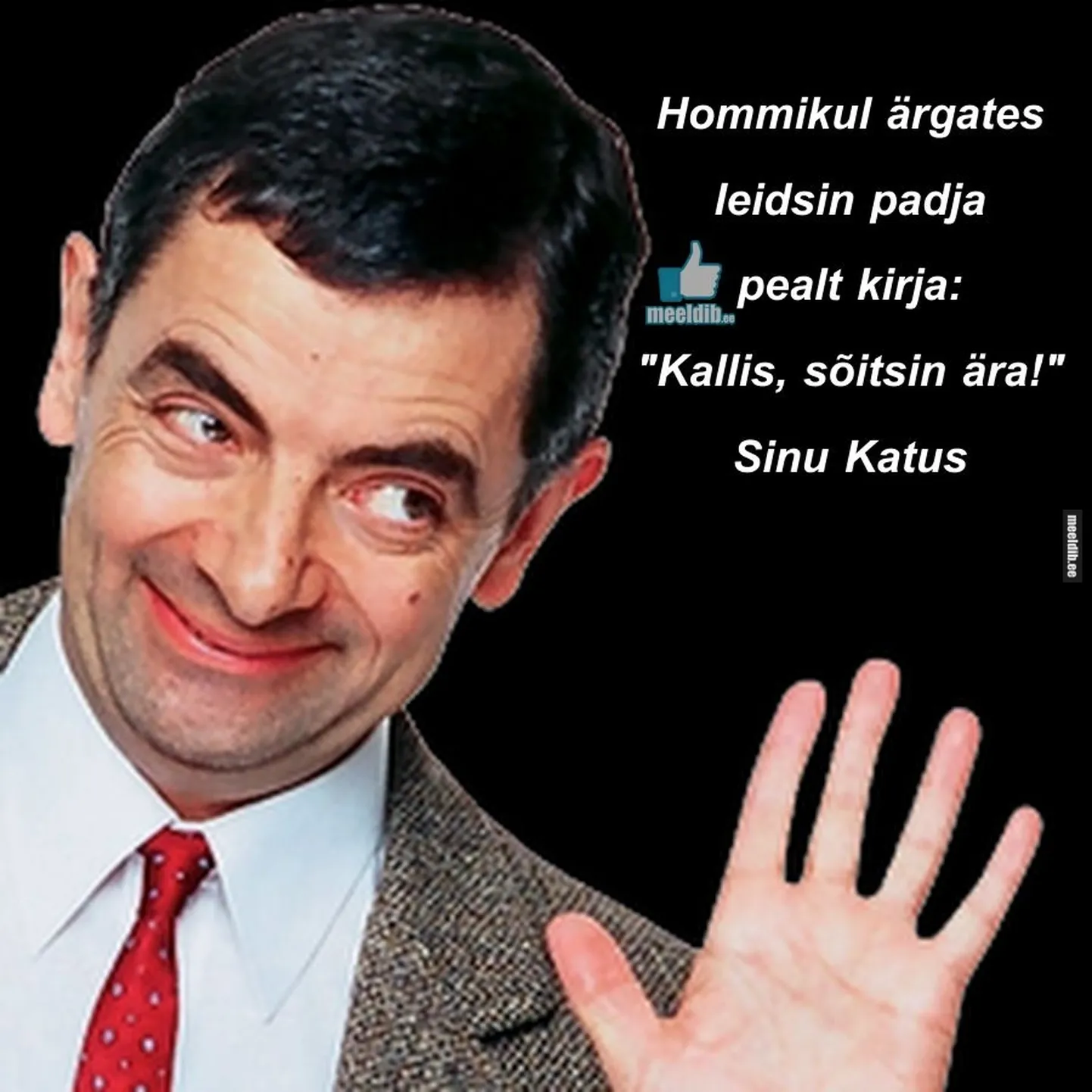 Artikli foto