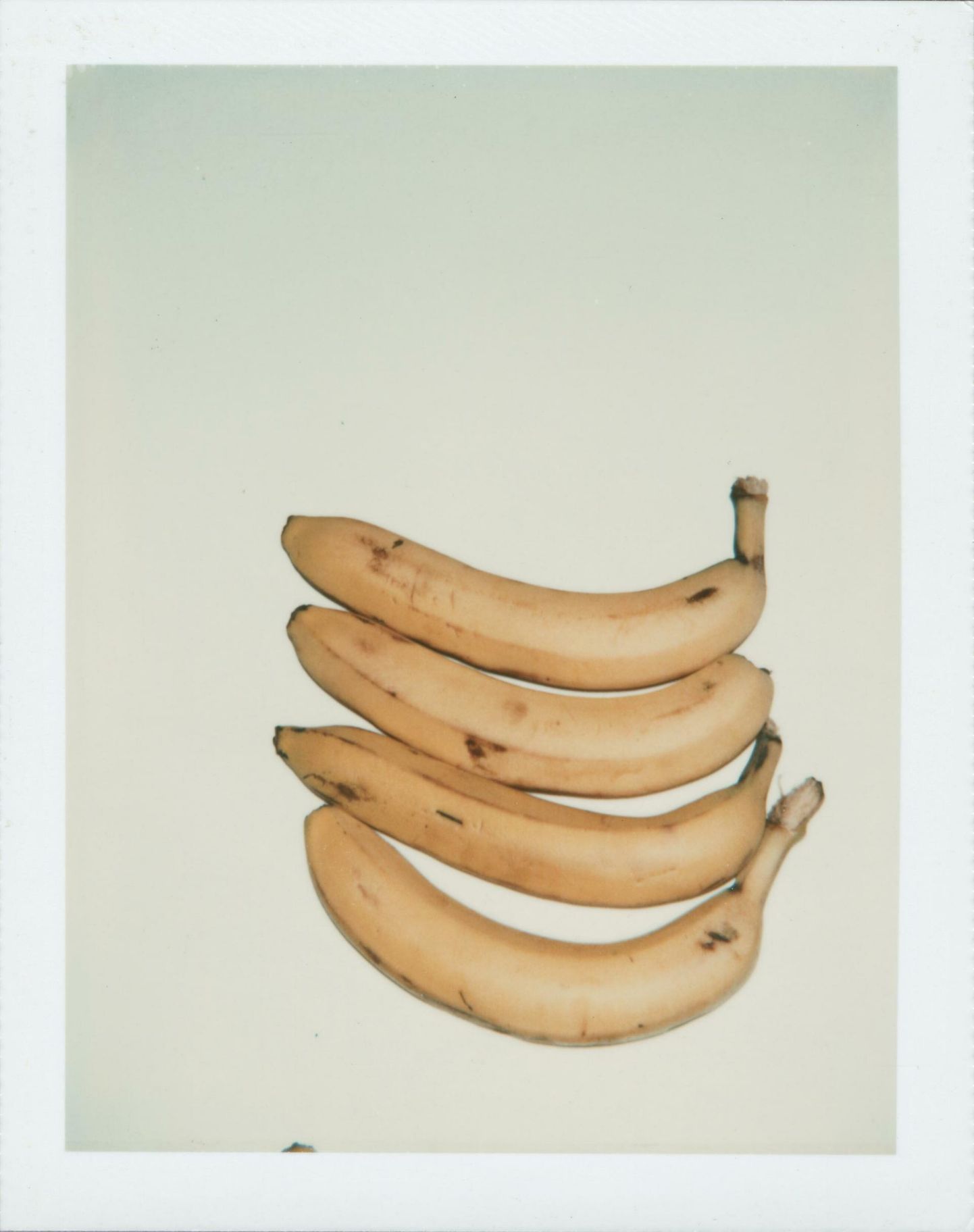 Andy Warhol, Bananas, 1978 FOTO: The Andy Warhol Foundation For Visual Arts, Inc.