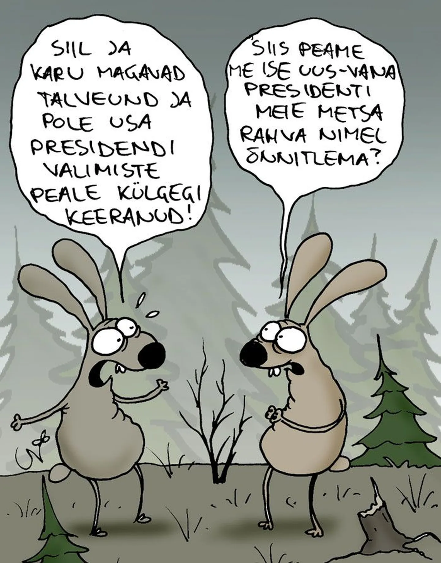 Artikli foto