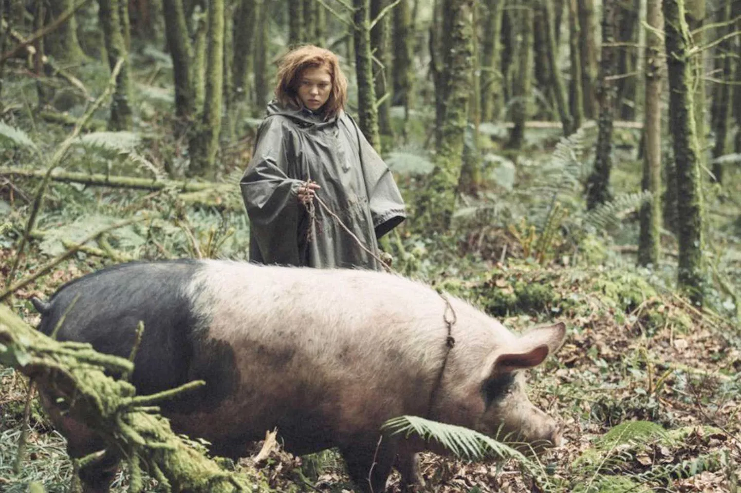 2017. aastal parima originaalstsenaariumi Oscarile nomineeritud satiiriline film «Homaar».