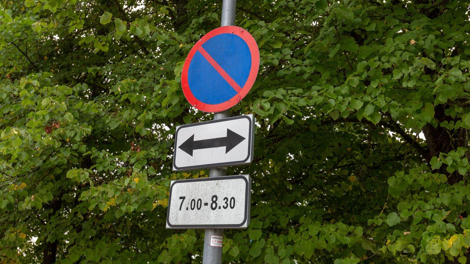 Viljandis on kolme nädalaga 20-eurose hoiatustrahvi saanud 72 valesti parkinud autojuhti.