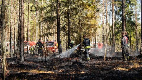 Päästjad said Potsepa karjääri juurde kolmanda astme väljakutse