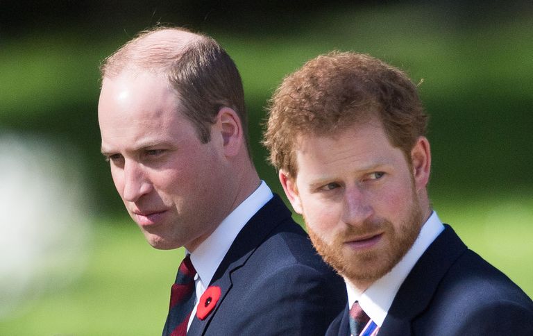 Prints William ja prints Harry (paremal) sel kuul