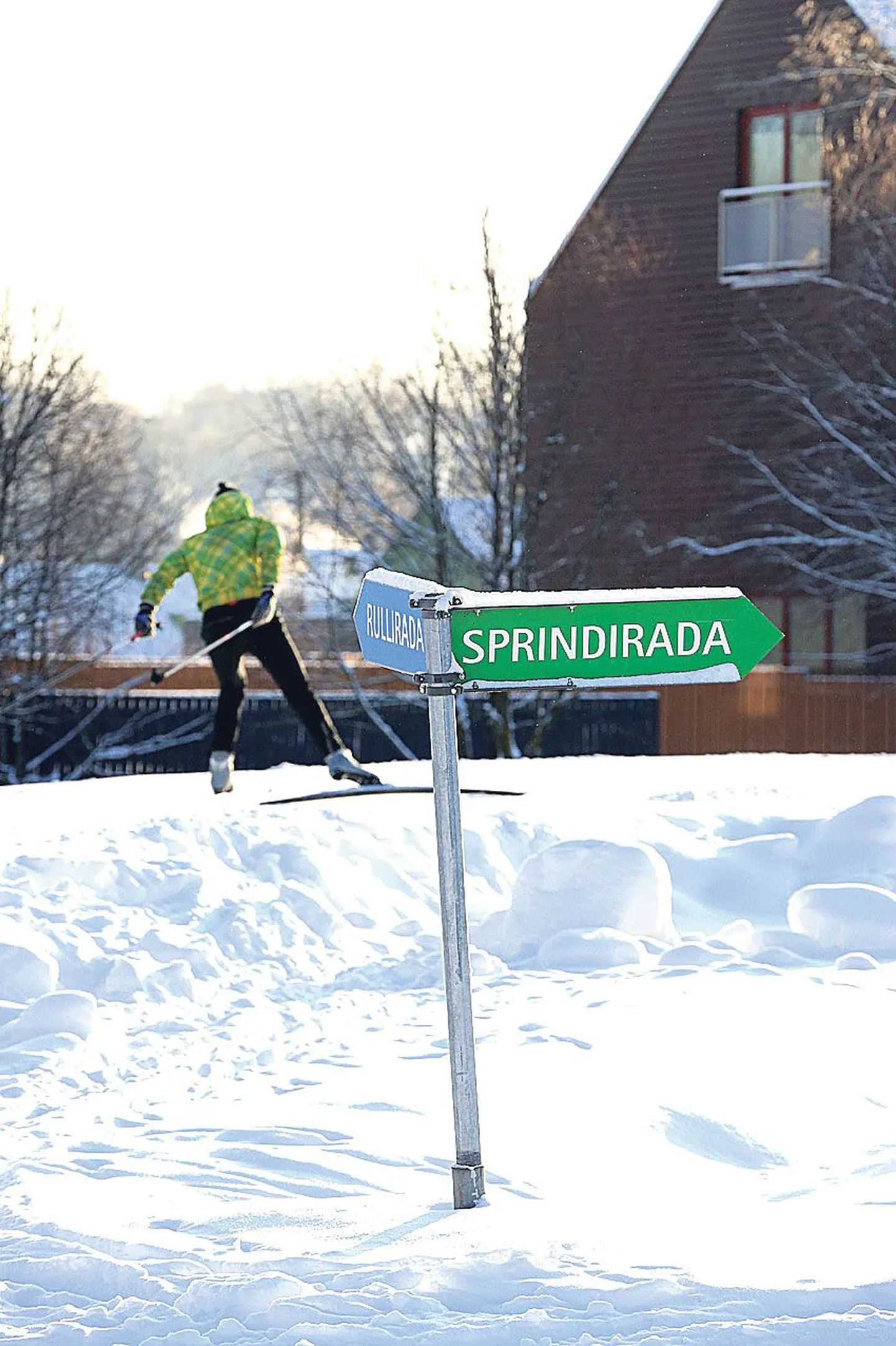 Tähtvere spordipargis on valminud neli kilomeetrit suusaradasid.