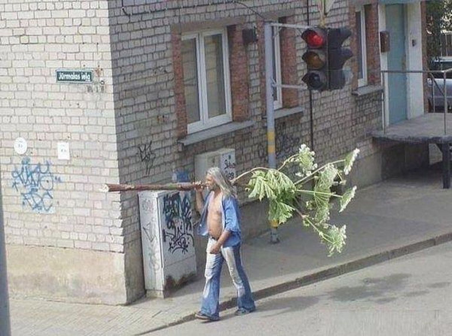 Кот дарит цветы мем
