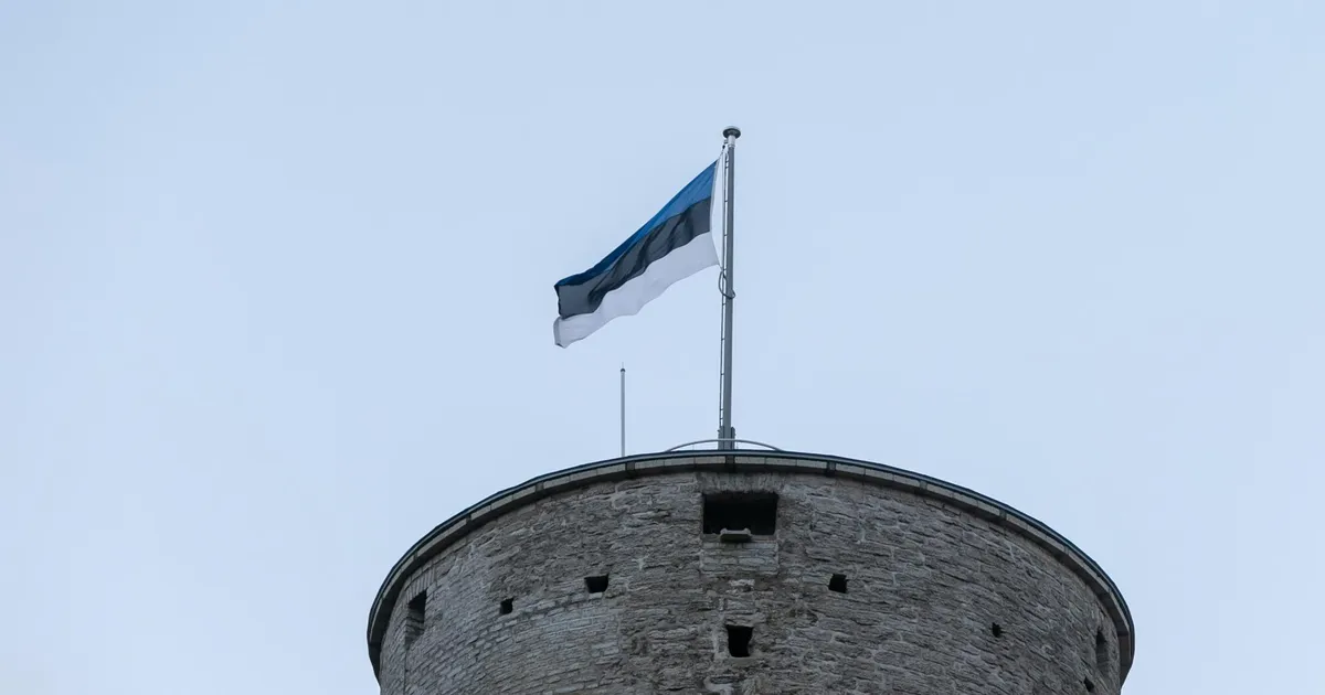 TOIVO RÄÄGEL ⟩ Eesti vajab uut IME