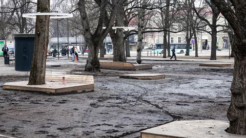 Tallinna ajaloolist Tammsaare parki ähvardab edasi lagundamine