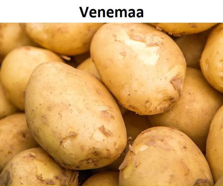 2 kilogrammi kartuleid