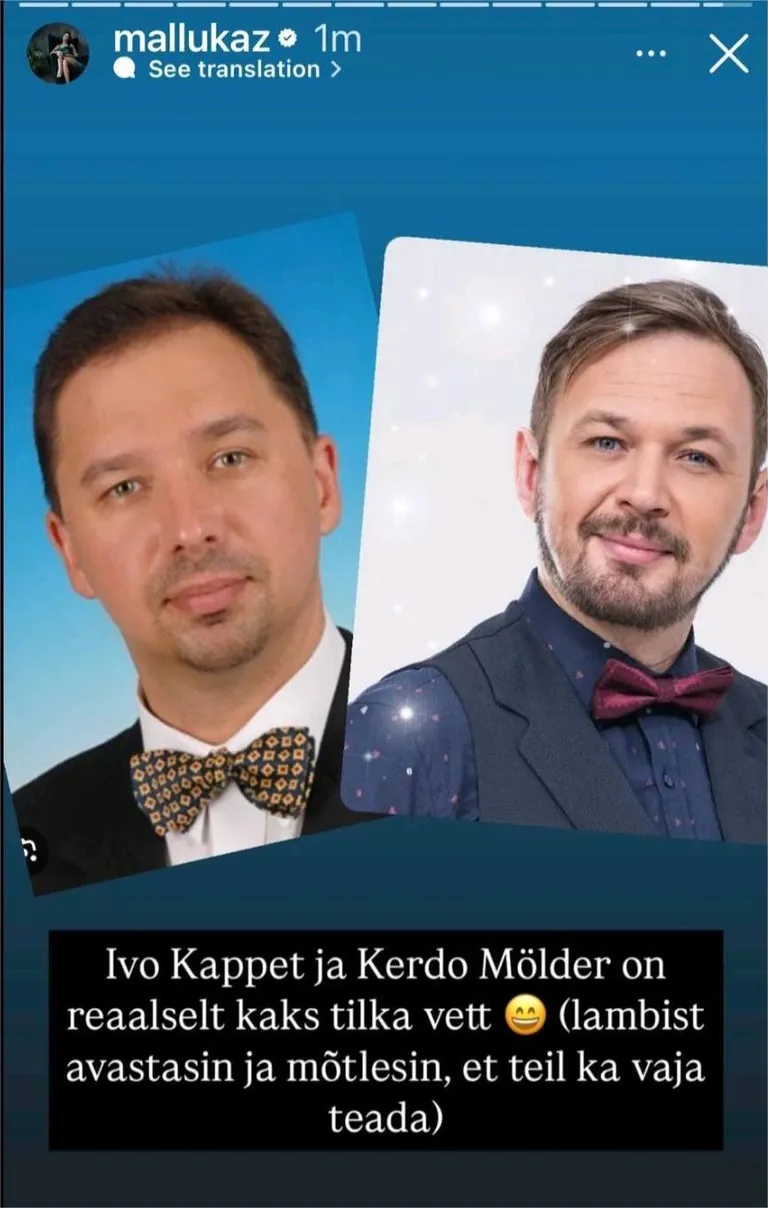 Сравнение исполнителя и политика.