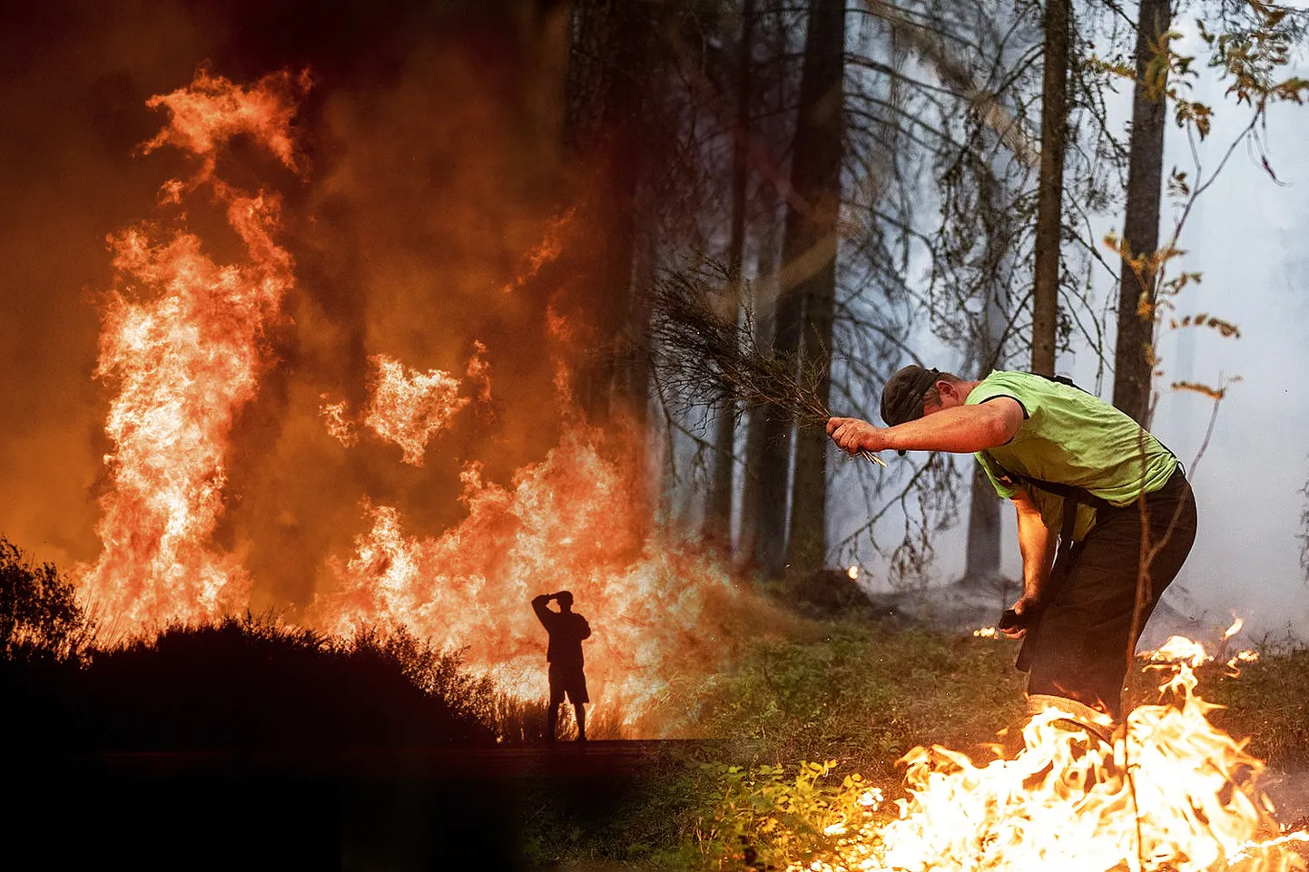 Raksta foto