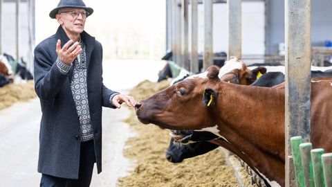 «Ilma enam välja ei tule.» Võrumaa meiereidel aitab päike äris püsida