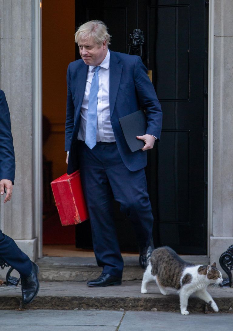 Pildil on Larry saatjaks peaminister Boris Johnson.