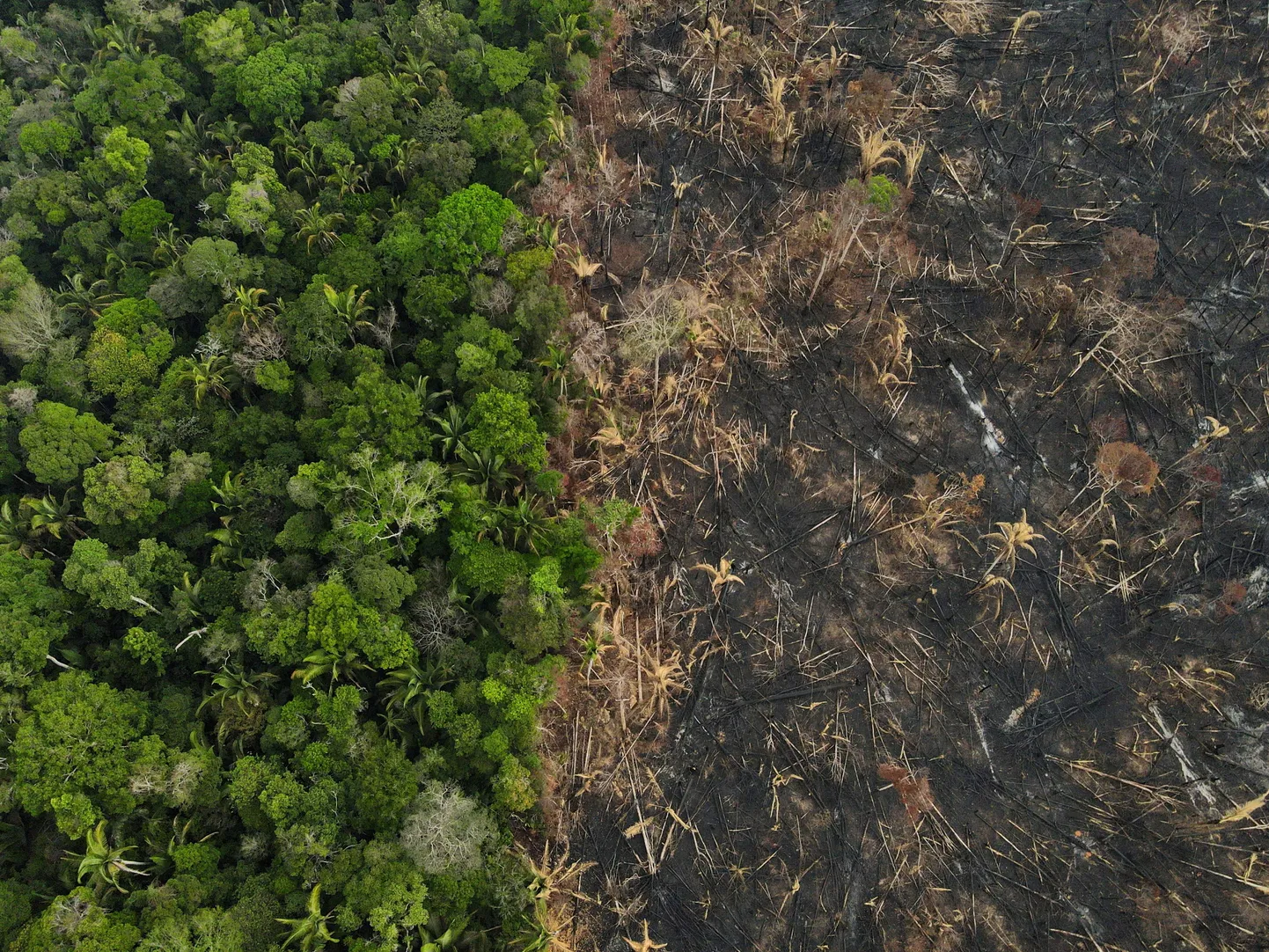 Põlenud vihmamets Amazonases. Droonifoto on tehtud 2021. aasta 1. septembril.