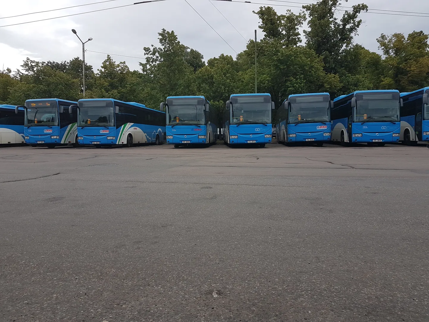 Рейсовые автобусы на Балтийском вокзале Таллинна