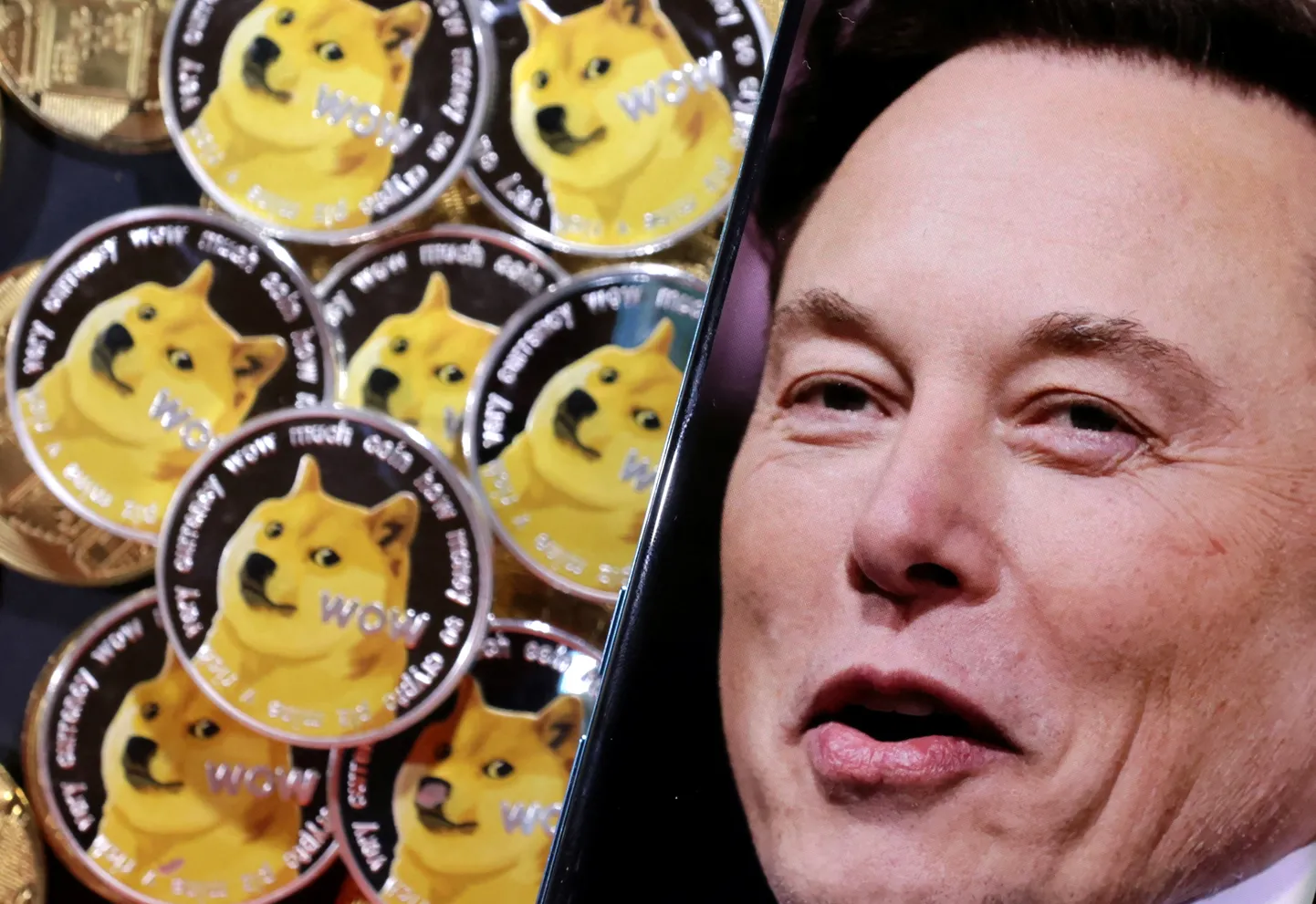 Elon Musk ja dogecoinid