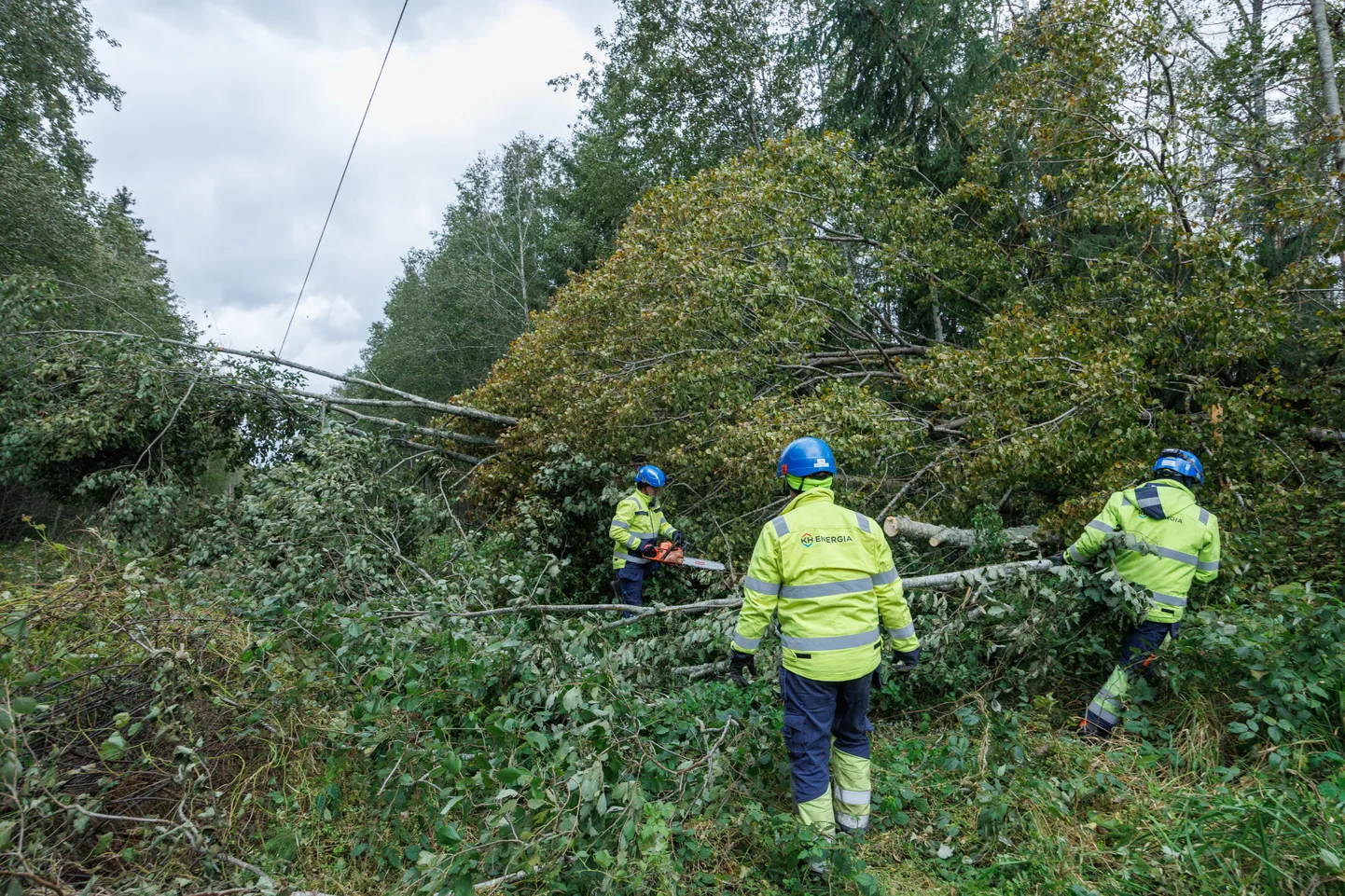 Elektrilevi töötajad ja partnerid teevad kõik endast oleneva, et klientidele elekter võimalikult kiirelt taastada.