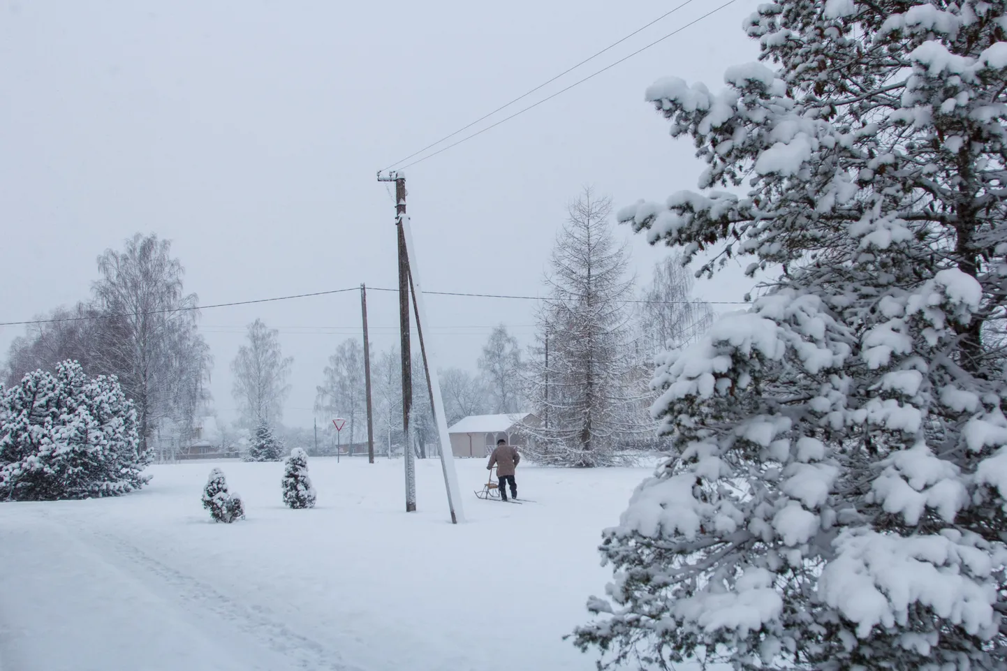 Elektripost


Foto: Arvo Meeks/Valgamaalane