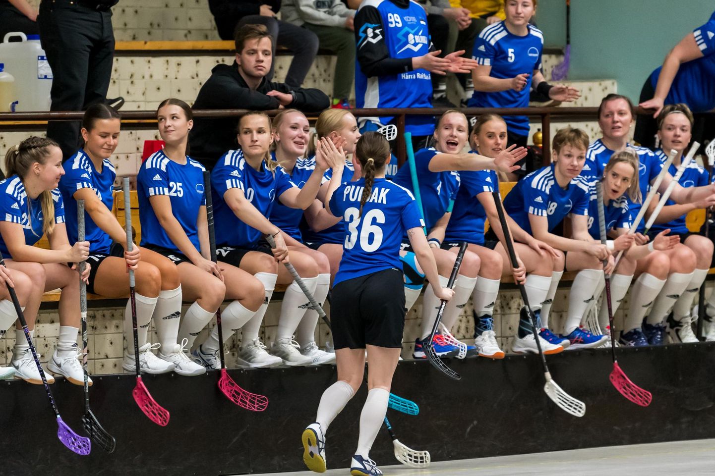 Enne MMi mängis saalihokinaiskond viimast korda koondise mänguvormis mõne nädala eest Jõgeval, Eesti kohtus siis kahel korral Lätiga. Kumbki naiskond võitis korra.