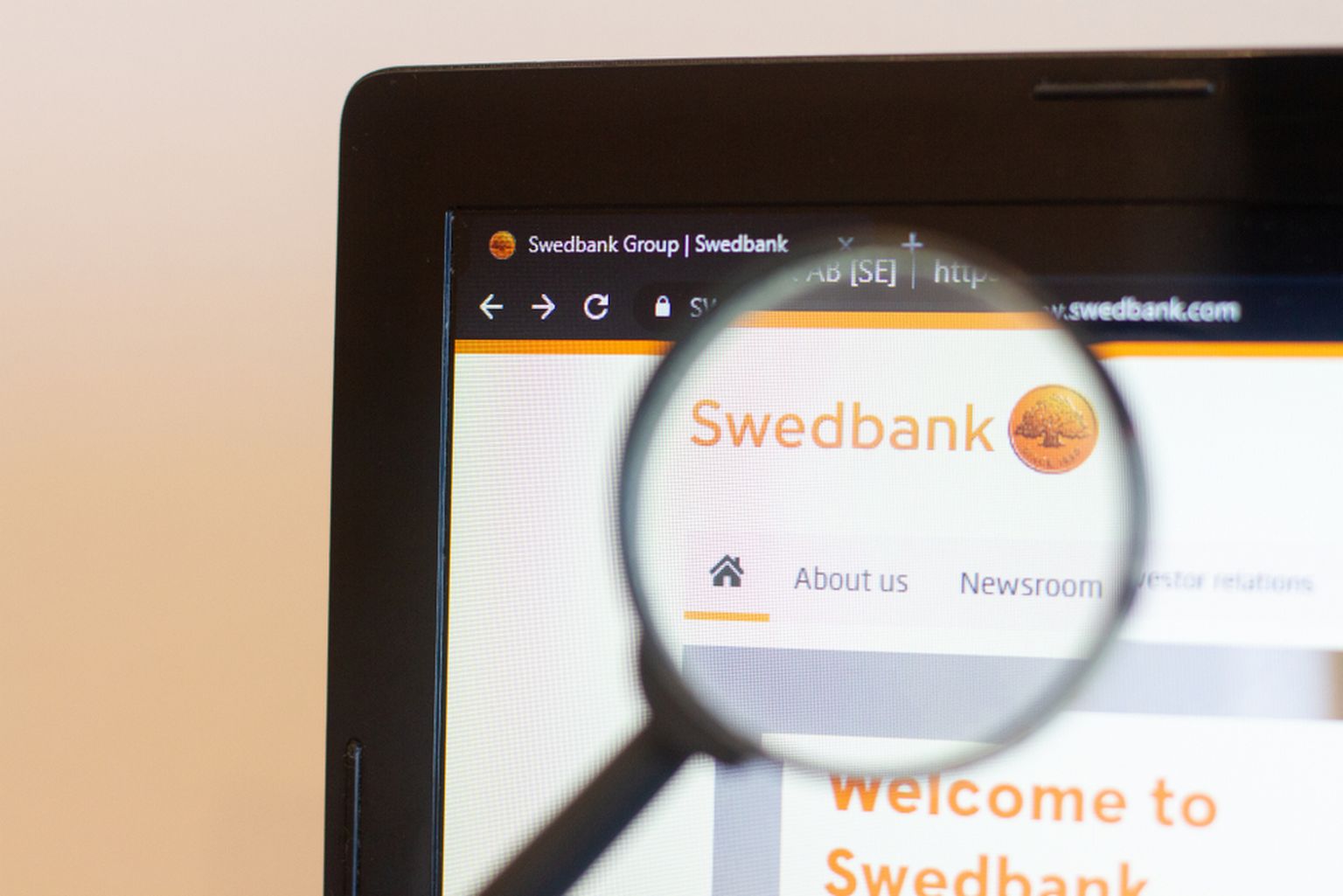 Домашняя страницы Swedbank. Иллюстративное фото