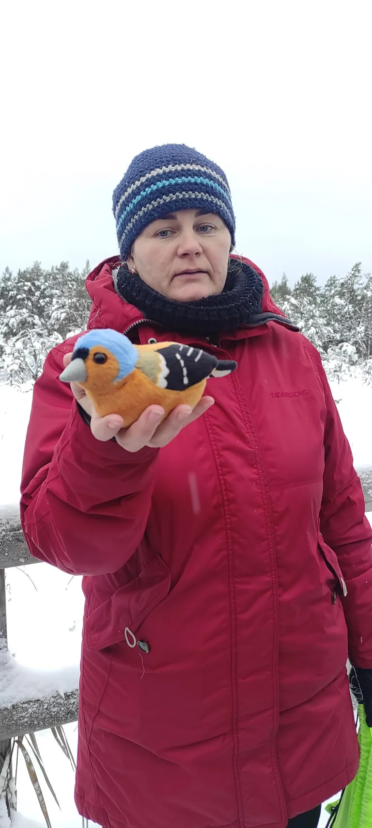 Keskkonnahariduse spetsialist Mahe Metsalu on põline sõrulane. Ta võtab kotist välja linnukujud ja meie arvame, kelle laul kõlab.