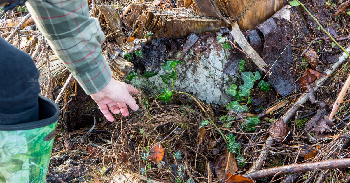 JUHTKIRI: Tasakaalupunkt