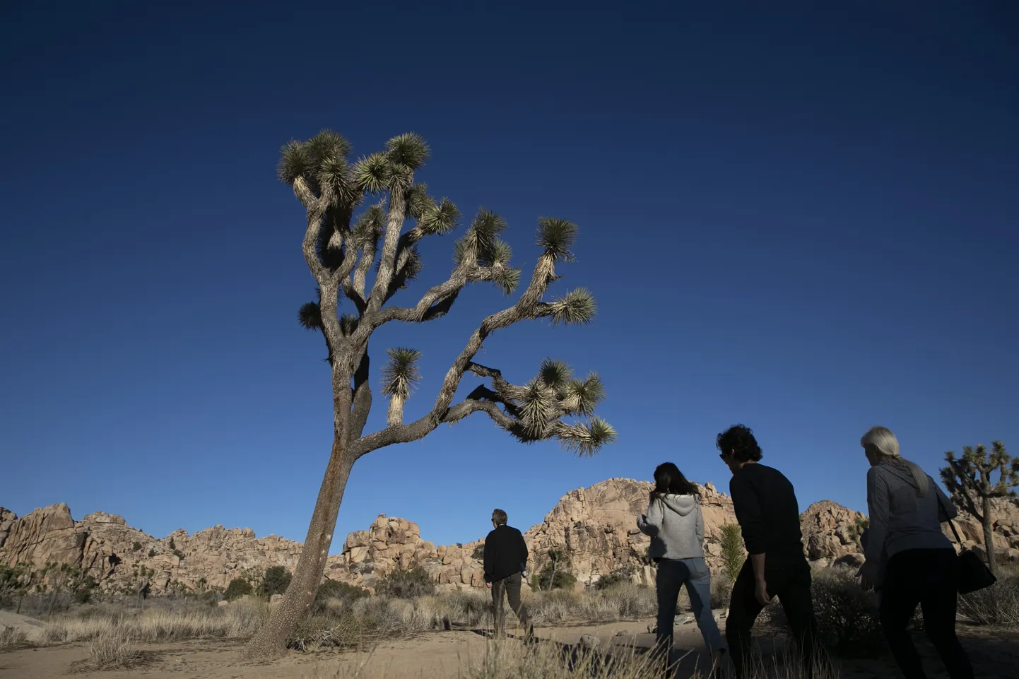 Külastajad Joshua Tree rahvuspargis USA valitsusasutuste tööseisaku ajal.