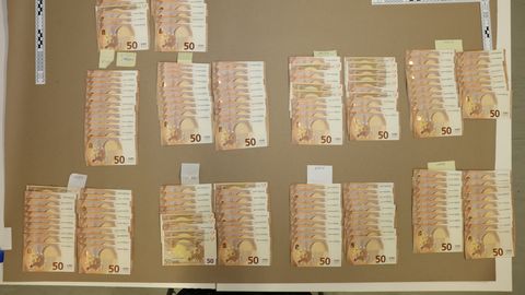 Politsei pidas kinni kelmuses kahtlustatava mehe koos suure hulga sularahaga