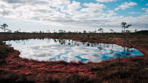 PÄEVAHOROSKOOP ⟩ 28. aprill: Kaljukits peab tähelepanu pöörama oma tervisele ja enesetundele, Sõnnil soosib päev pikaajaliste rahaliste plaanide tegemist