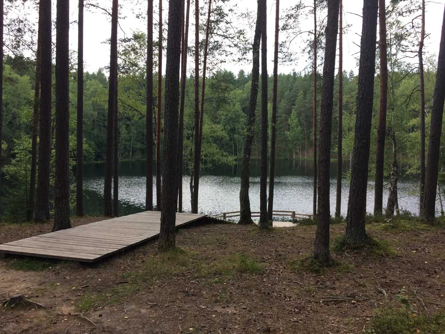 Raksta foto