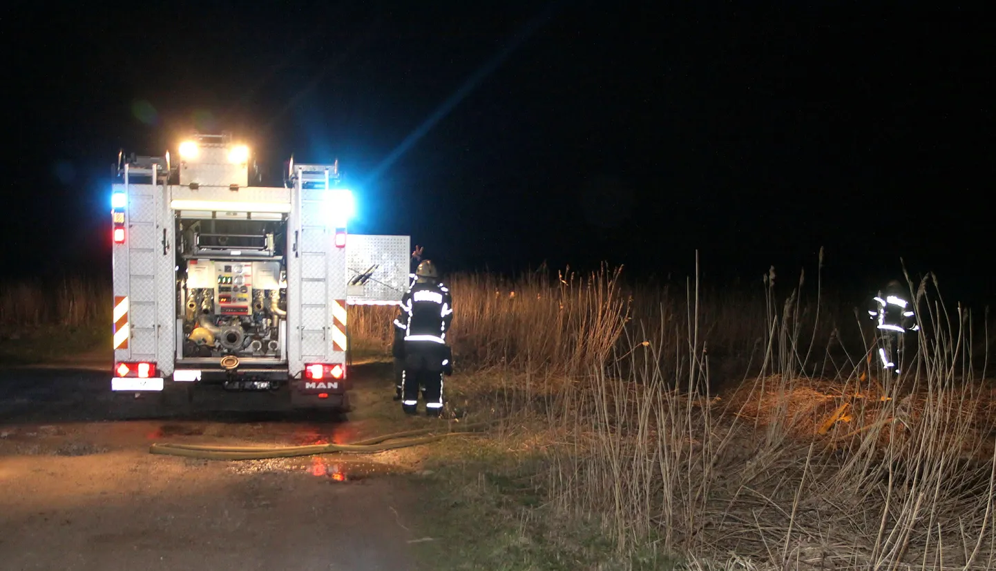 Reede õhtul käisid päästjad Pärnus Raekülas roostikku kustutamas.