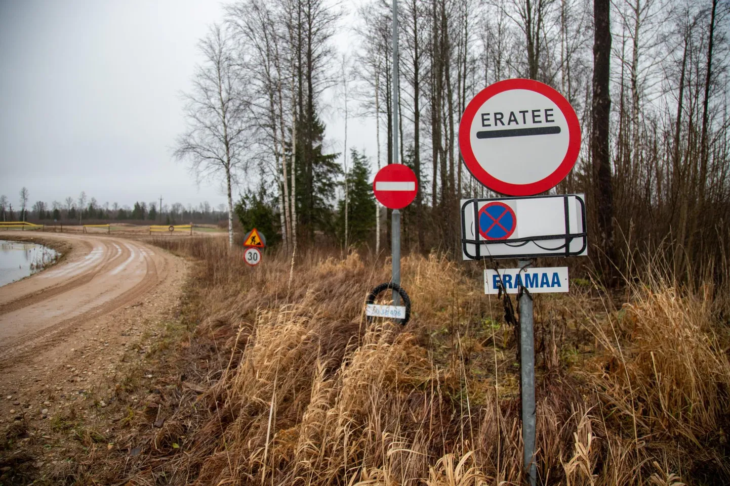 Eratee. Foto on illustratiivne​