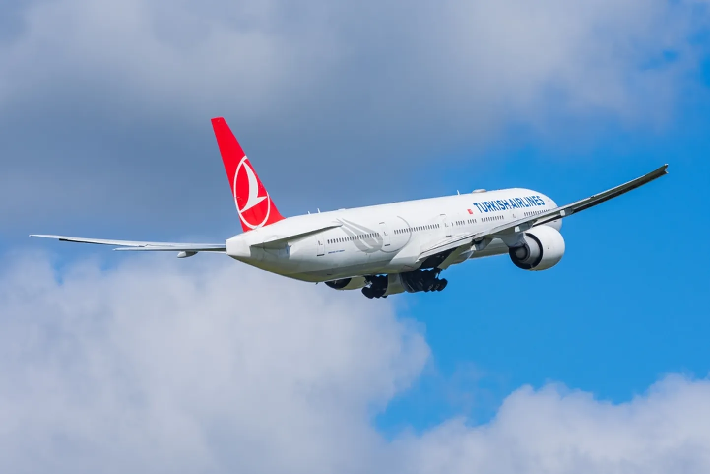 Самолет Turkish Airlines